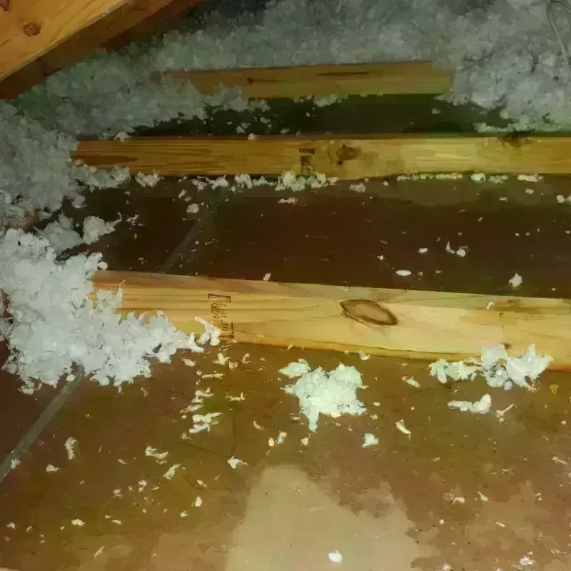 Attic Water Damage in Glastonbury, CT