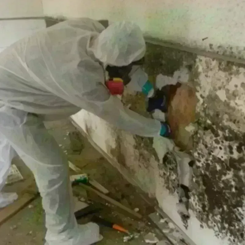 Mold Remediation and Removal in Glastonbury, CT